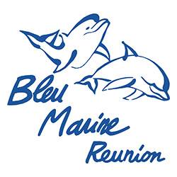 Bleu-marine-reunion-logo.jpg