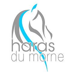 haras-du-morne-logo.jpg