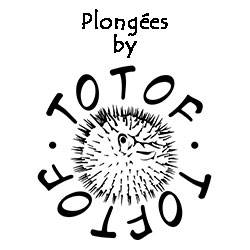 plongees-by-toftof.jpg