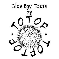 blue-bay-tours-by-toftof.jpg