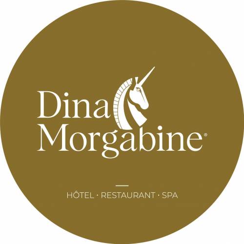 logo-dina-morgabine-saint-denis.jpg