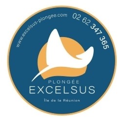 Excelsus logo.jpg